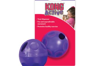 Kong Treat Dispenser