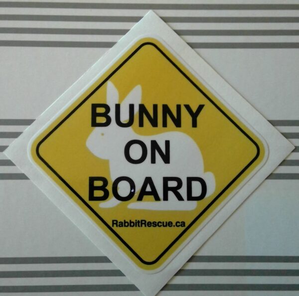 Bunny on Board - Sticker