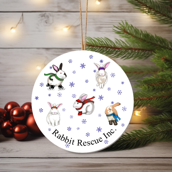 Christmas Ornament - Winter Bunnies