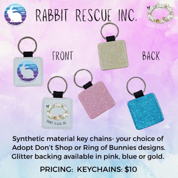 Adopt Don’t Shop Keychain