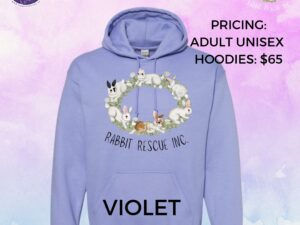 Ring of Bunnies – Hoodie