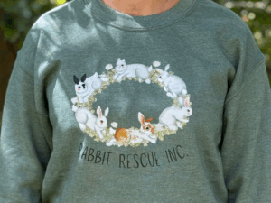 Ring of Bunnies – Crewneck