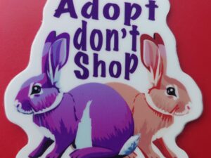 Adopt Don't Shop Bunny Sticker