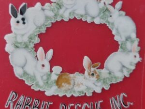 Ring Of Bunnies Sticker