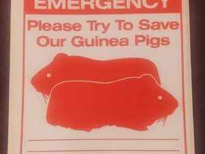 In Case of Emergency - Guinea Pig x 2 (Large)