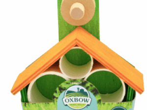 Enriched Life – The Treat House