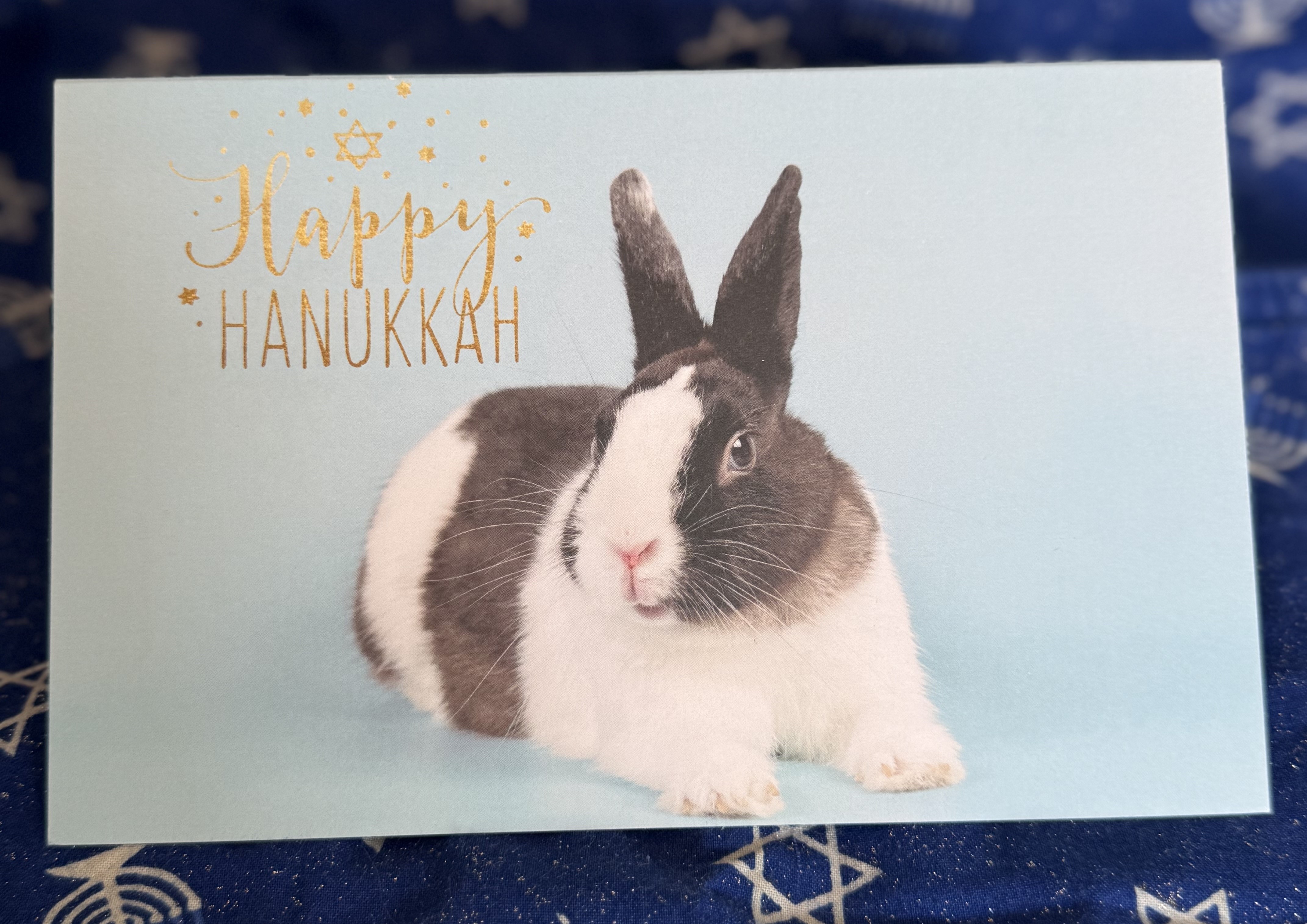 Ozzy Hanukkah Card